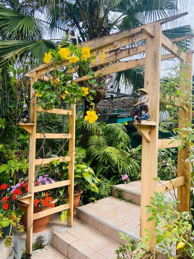 Chambres D'Hotes L'Orchidee Rose Salazie Ngoại thất bức ảnh