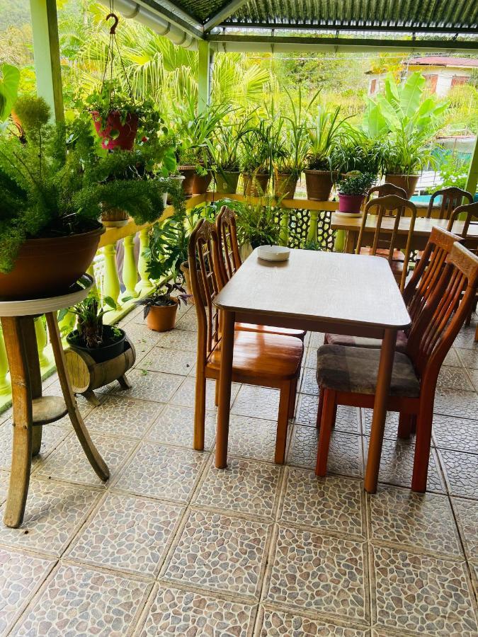 Chambres D'Hotes L'Orchidee Rose Salazie Ngoại thất bức ảnh