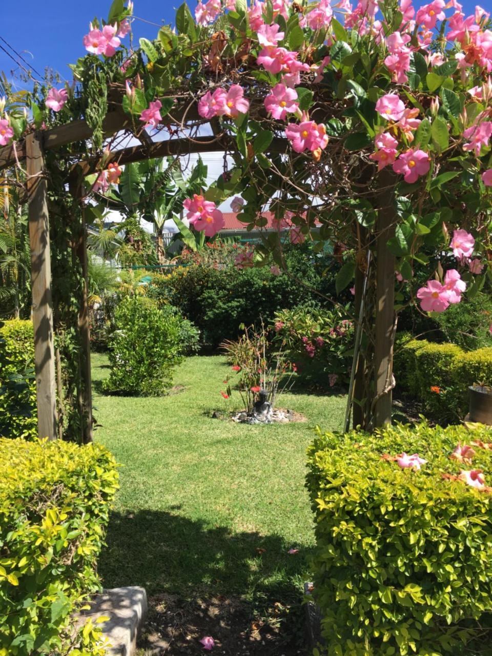 Chambres D'Hotes L'Orchidee Rose Salazie Ngoại thất bức ảnh